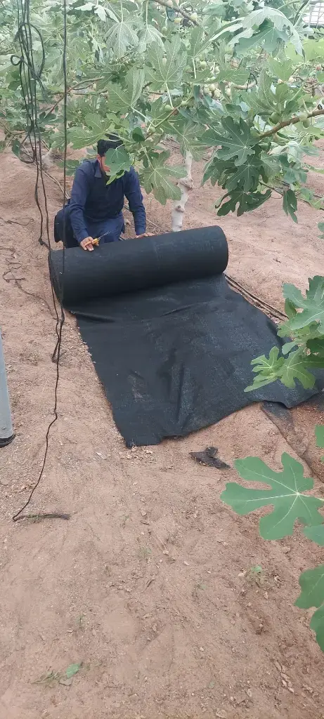 WhatsApp Image 2025-07-14 at 3.06.18 PM 5.webp