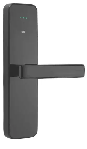 color - Copy (3).webp